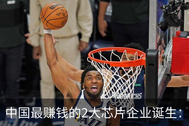 中国最赚钱的2大芯片企业诞生：创造历史！全年利润要超4000亿？